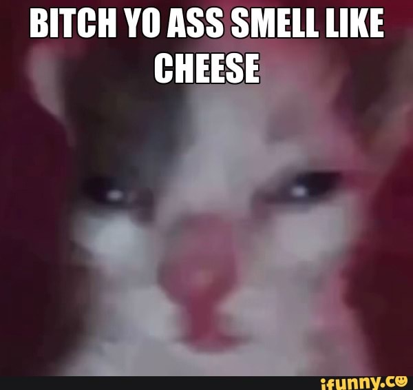 BITCH YO ASS SMELL LIKE CHEESE