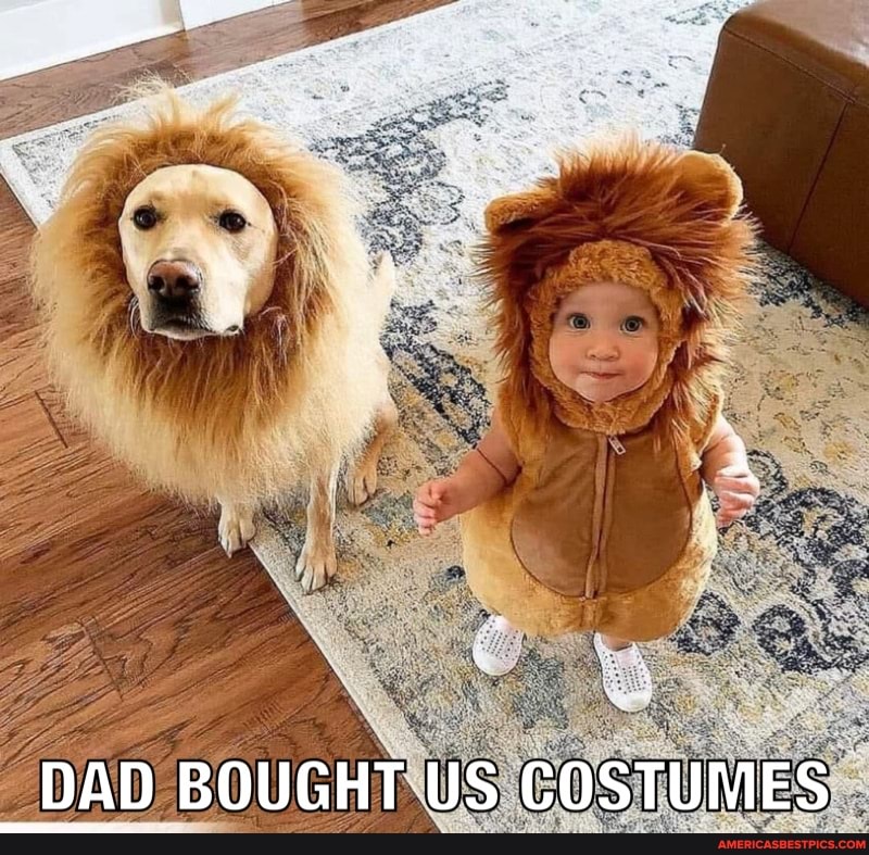we
DAD BOUGHT US COSTUMES