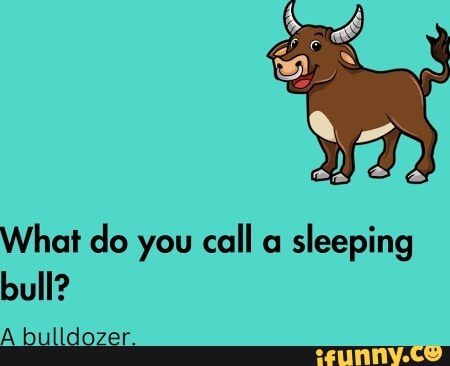 What do you call a sleeping bull? A bulldozer. - iFunny