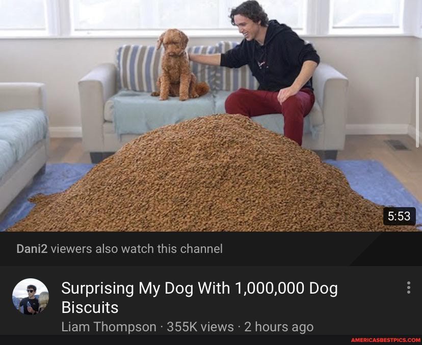 Dani2 viewers also watch this channel
Surprising My Dog With 1,000,000 Dog
Biscuits
Liam Thompson - 355K views - 2 hours ago