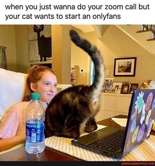 when you just wanna do your zoom call but your cat wants to start an onlyfans