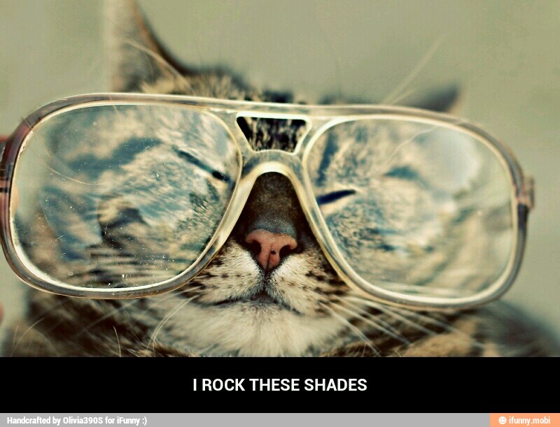 I ROCK THESE SHADES - I ROCK THESE SHADES
