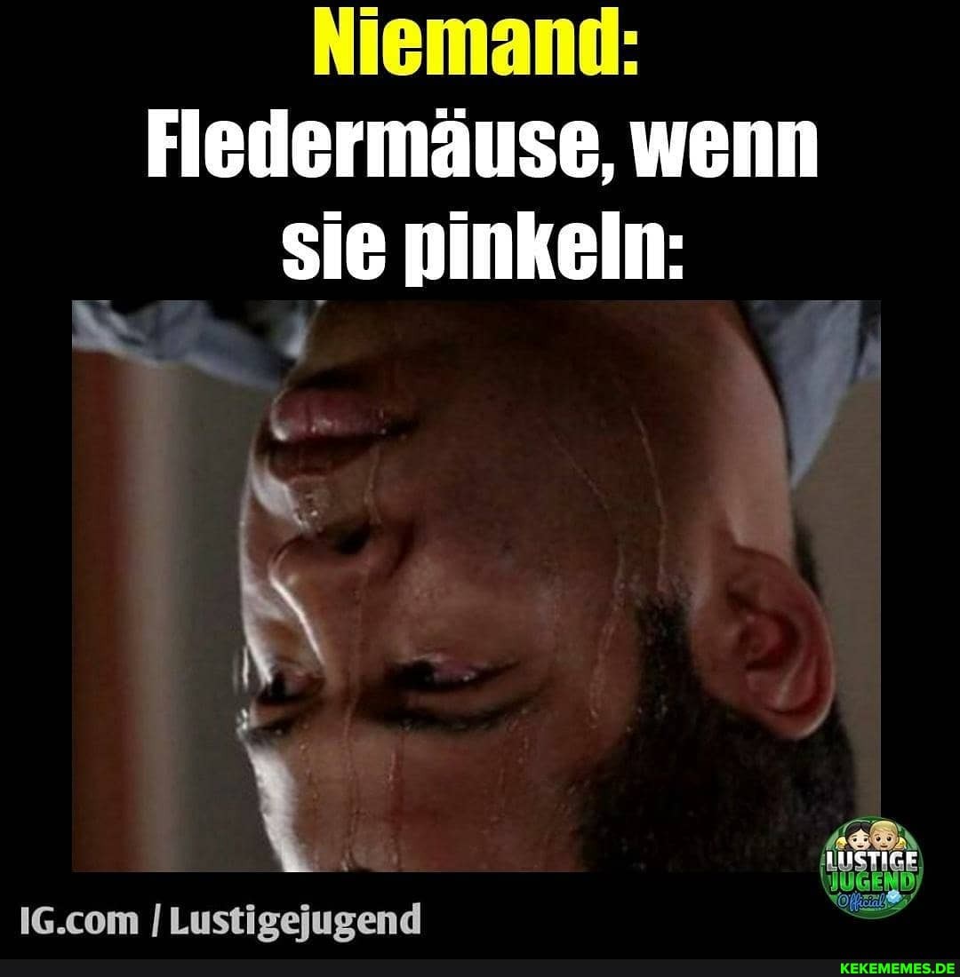 Fledermäuse, wenn sie pinkeln: