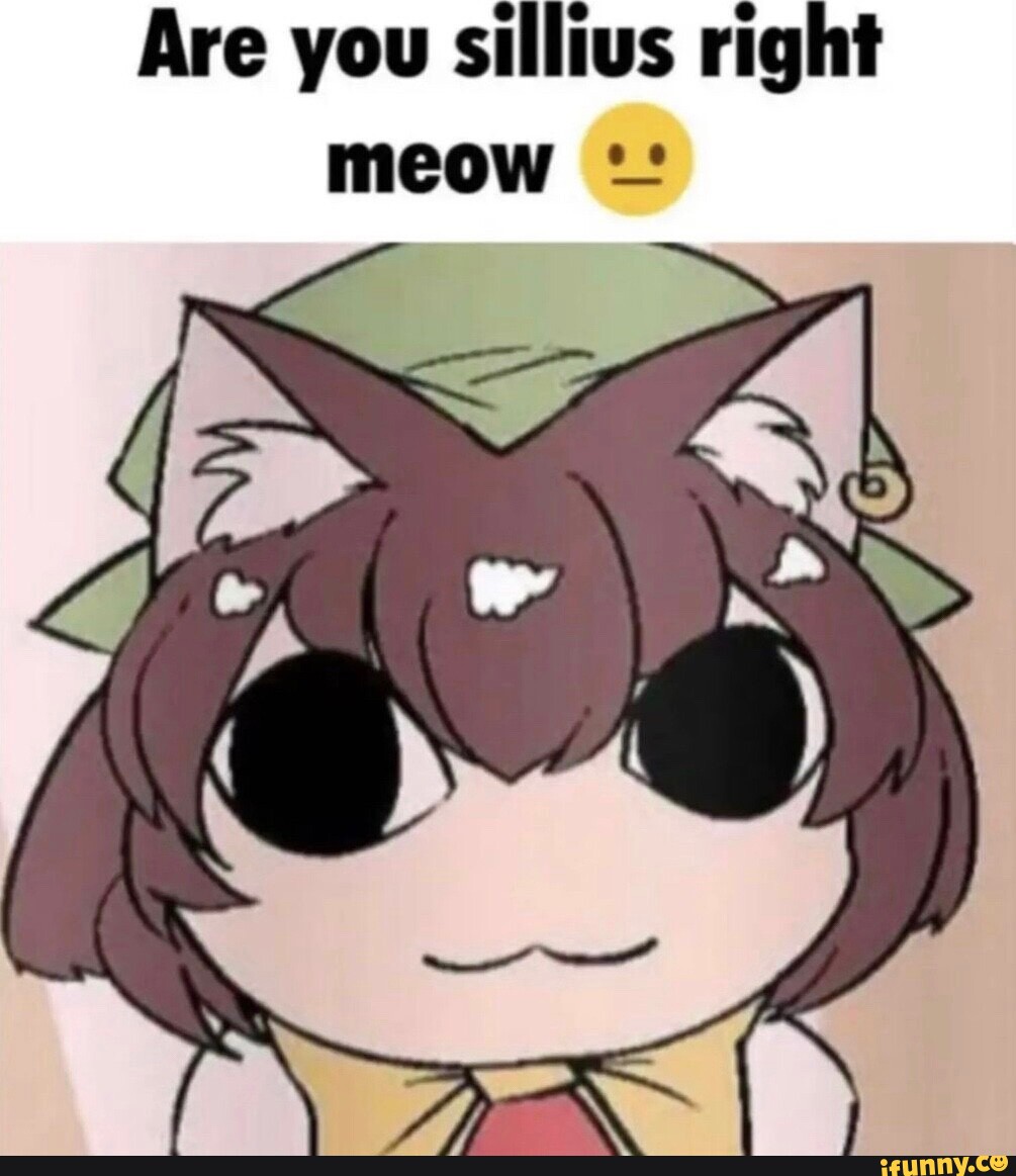 Are you sillius right meow - iFunny