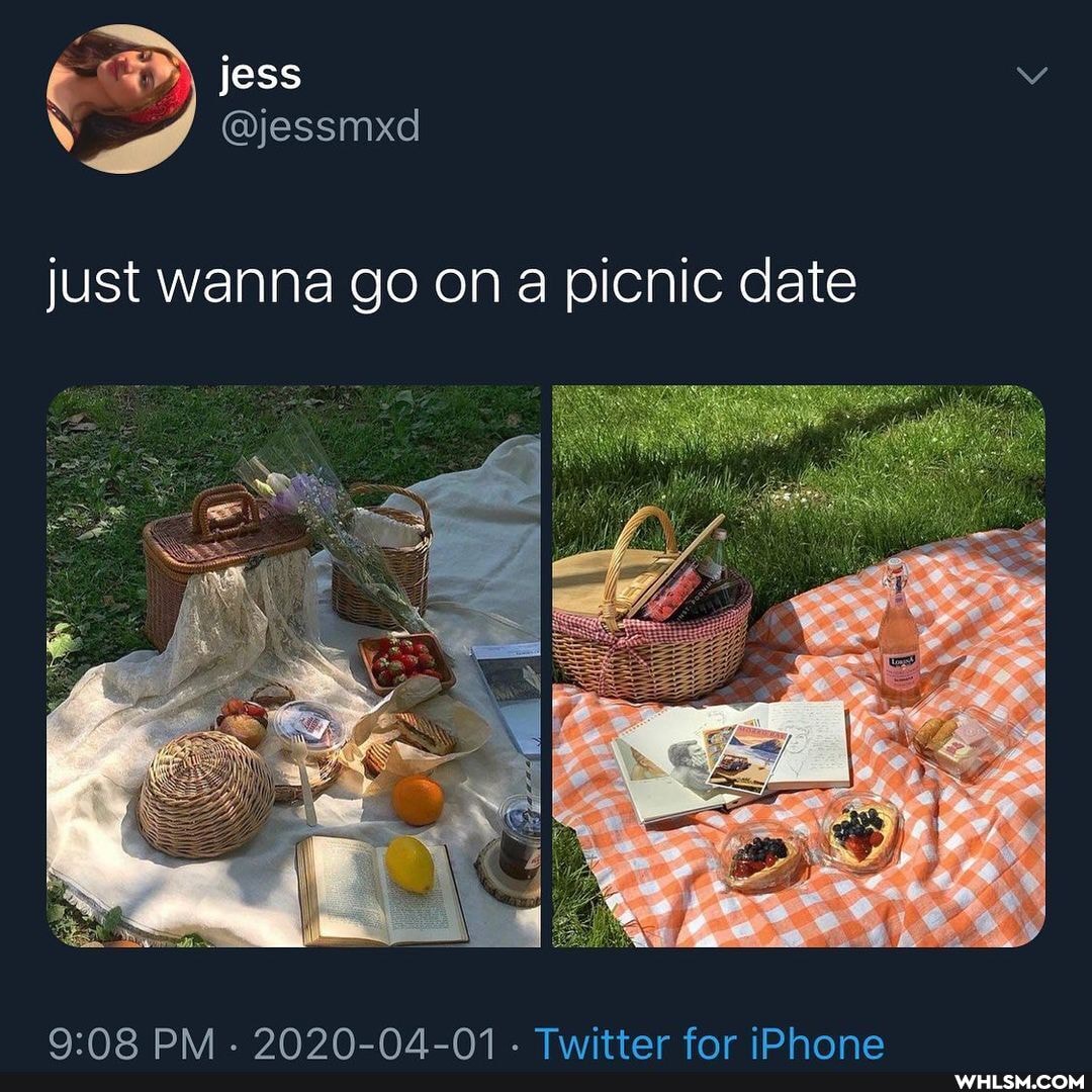 jess
@jessmxd
just wanna go on a picnic date
PM - 2020-04-01 - Twitter for iPhone