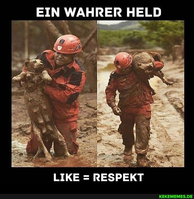 EIN WAHR HELD
ER AELD
LIRE