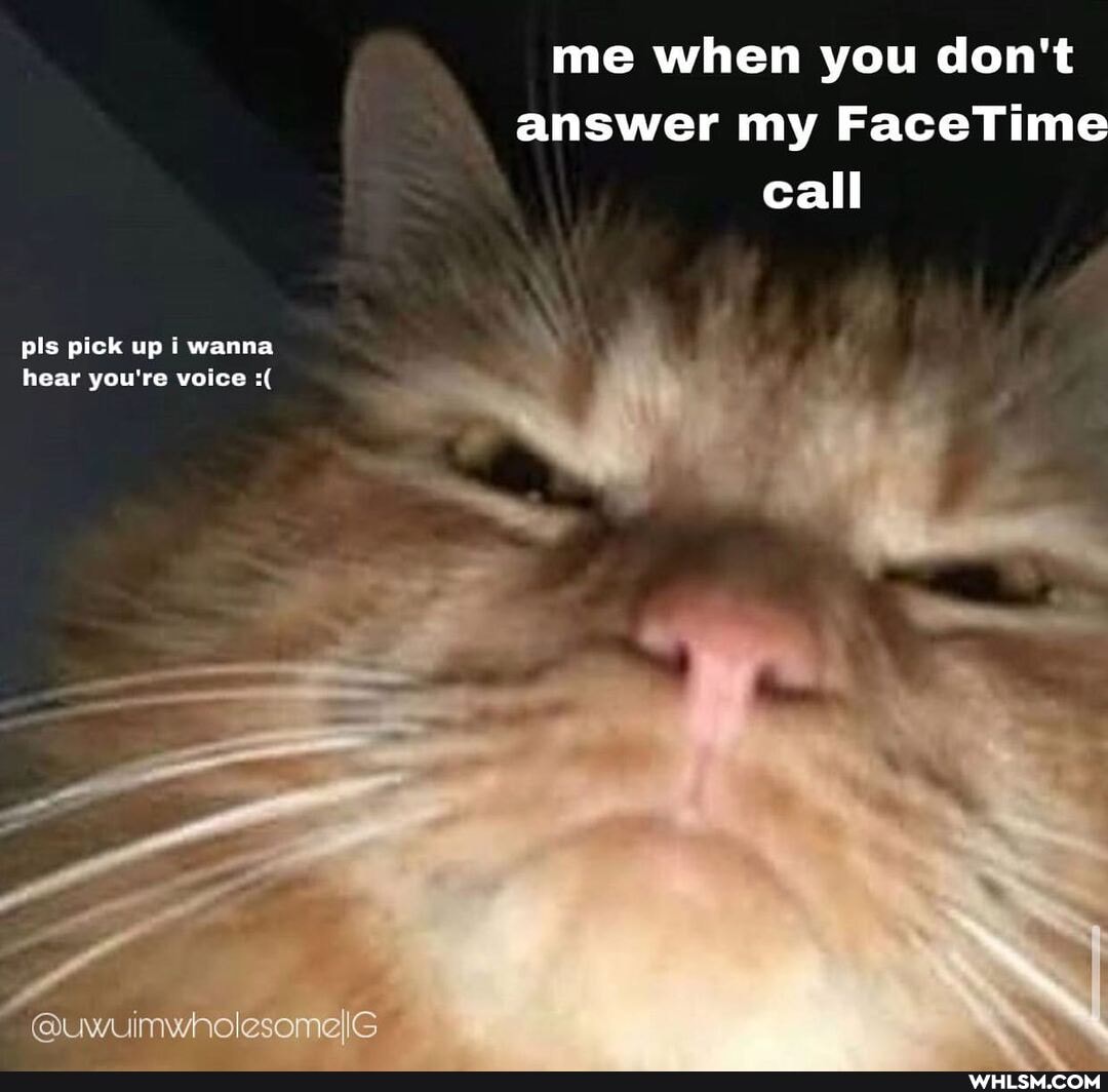 me when you don't answer my FaceTime call
pls pick up i wanna hear you're voice
@uwuimwholesomelG