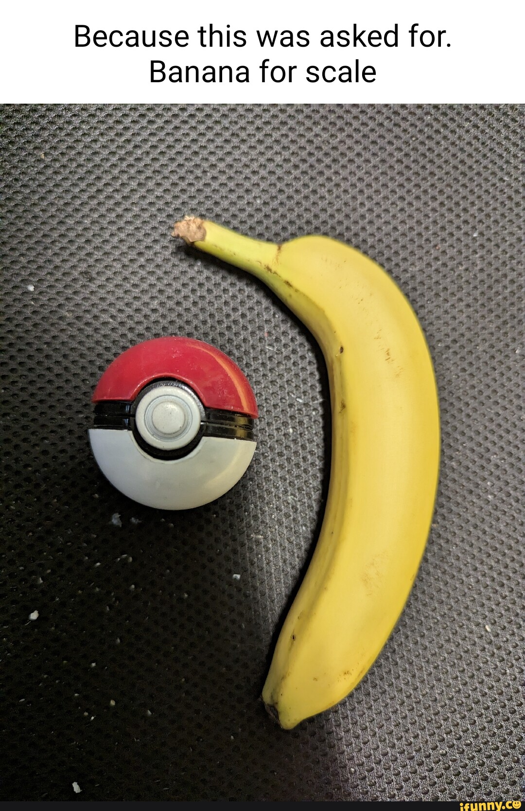 Because this was asked for. Banana for scale - iFunny