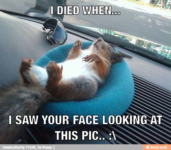 I SAW YOUR FACE LOO!
