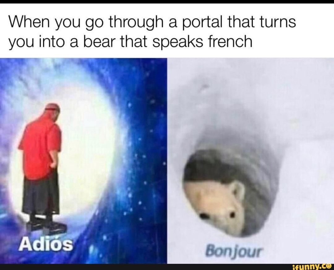 When you go through a portal that turns
you into a bear that speaks french