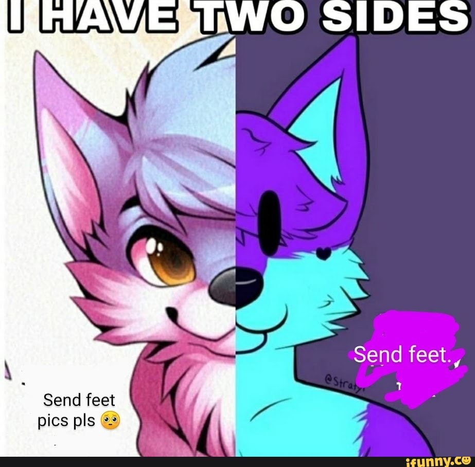 pls send feet pics
