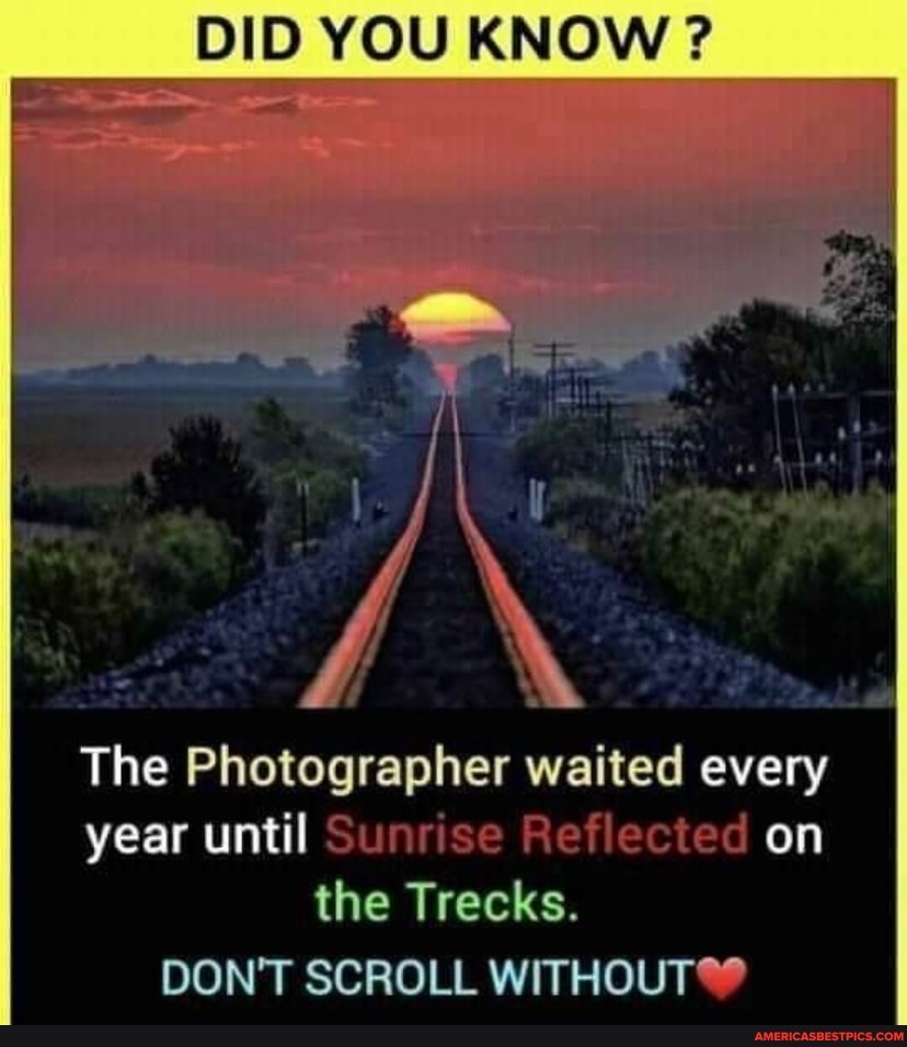 DID YOU KNOW ? The Photographer waited every year until Sunrise