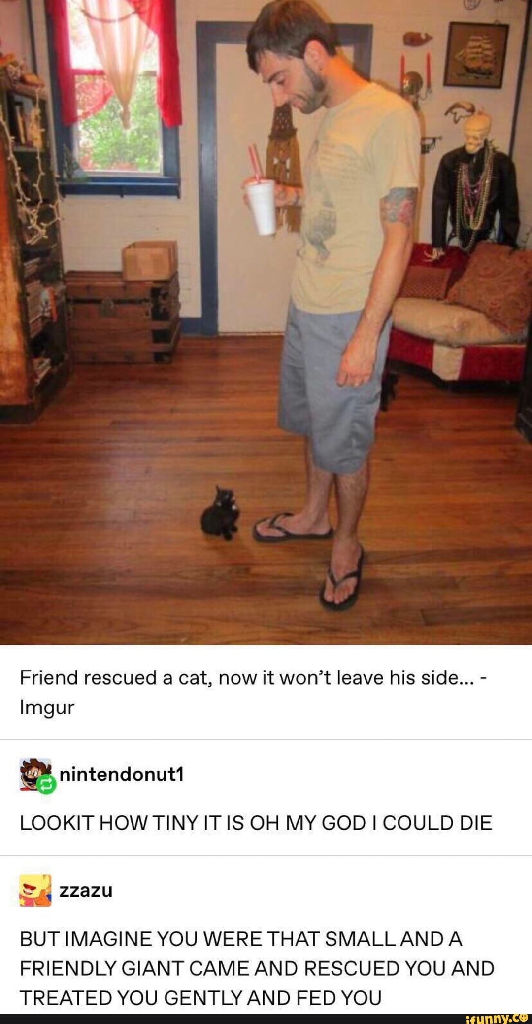 Friend rescued a cat, now it won't leave his side... -
Imgur
nintendonutt
zzazu
LOOKIT HOW TINY IT IS OH MY GOD I COULD DIE
BUT IMAGINE YOU WERE THAT SMALL AND A FRIENDLY GIANT CAME AND RESCUED YOU AND TREATED YOU GENTLY AND FED YOU