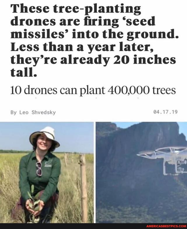 These treeplanting drones are firing 'seed missiles' into the ground