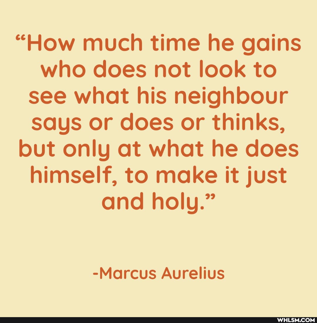 "How much time he gains who does not look to see what his neighbour says or does or thinks, but only at what he does himself, to make it just and holy."
-Marcus Aurelius