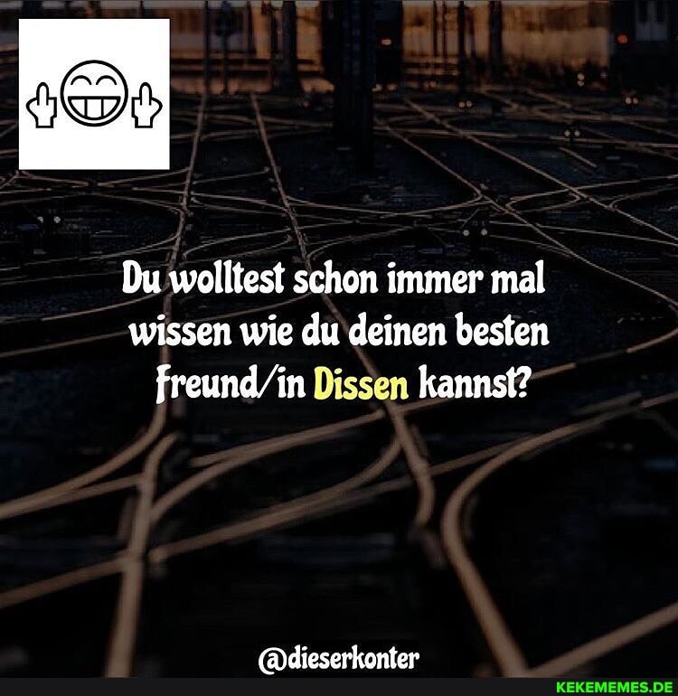 Du wolltest schon immer mal wissen wie du deinen besten
Dissen kannst?