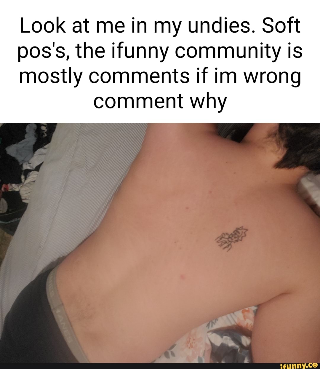 Cockss memes. Best Collection of funny Cockss pictures on iFunny Brazil