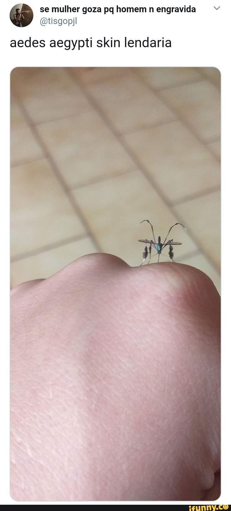 se mulher goza pq homem n engravida
aedes aegypti skin lendaria