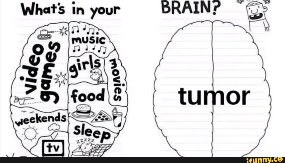 whats-in-your-brain-ifunny