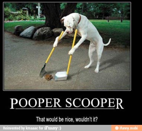 POOPER SCOOPER
That would be nice, wouldn't it?