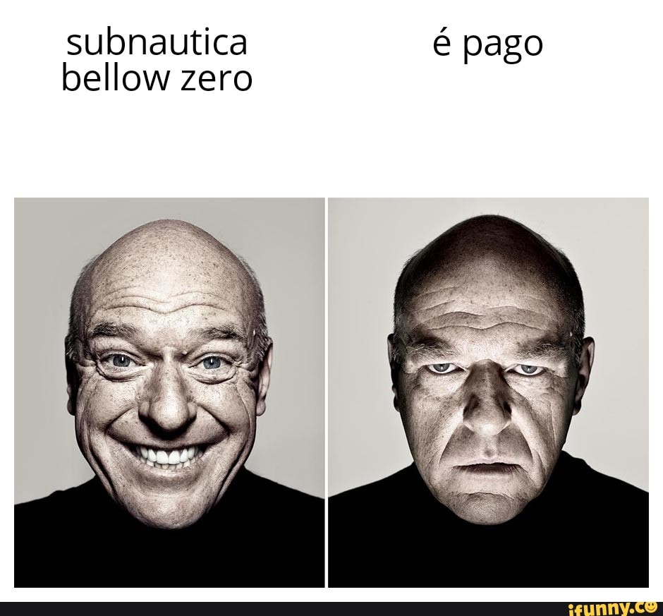 subnautica bellow zero