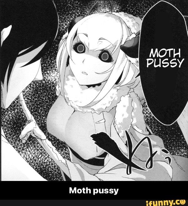 Moth pussy - Moth pussy