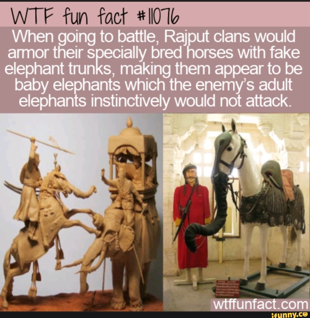 WTF fun fact #10 1b