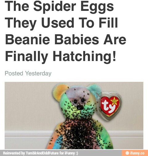 beanie babies filled with spider eggs