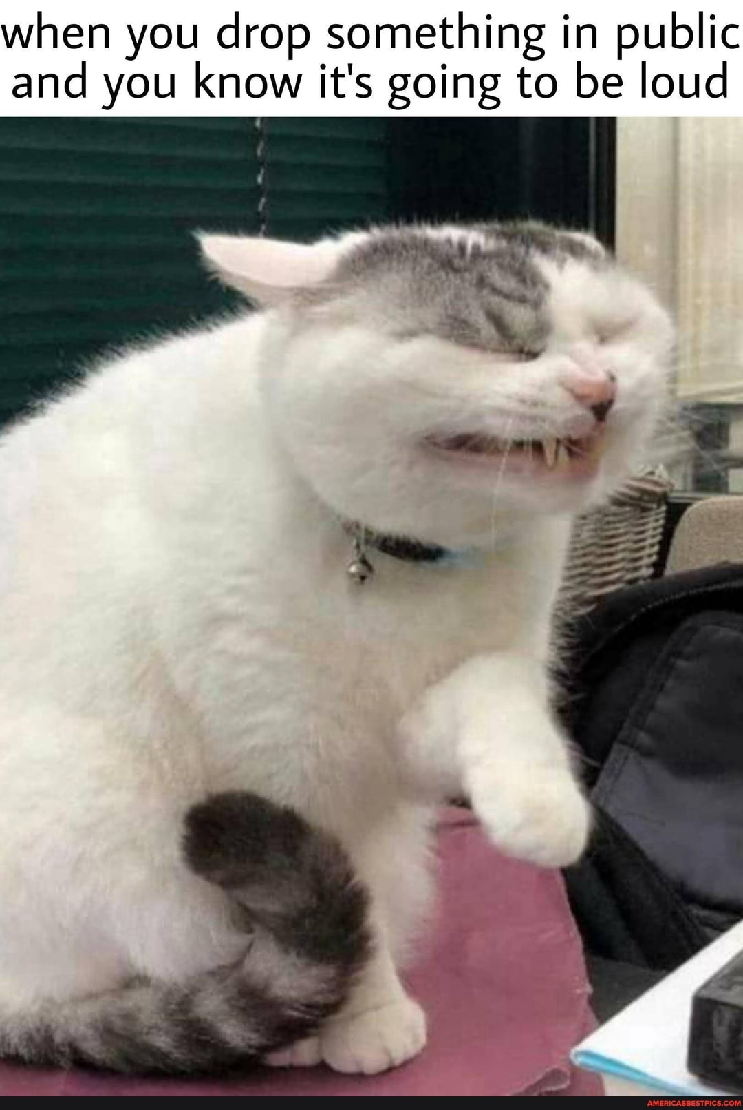 when you drop something in public
and you know it's going to be loud