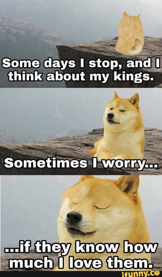 Some days I stop, and think about my kings.
Sometimes worry...
they know how much love them.