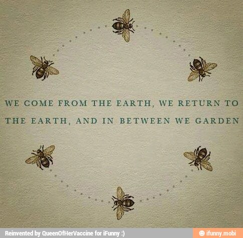 WE COME FROM THE EARTH, WE RETURN TO
THE EARTH, AND IN BETWEEN WE GARDEN