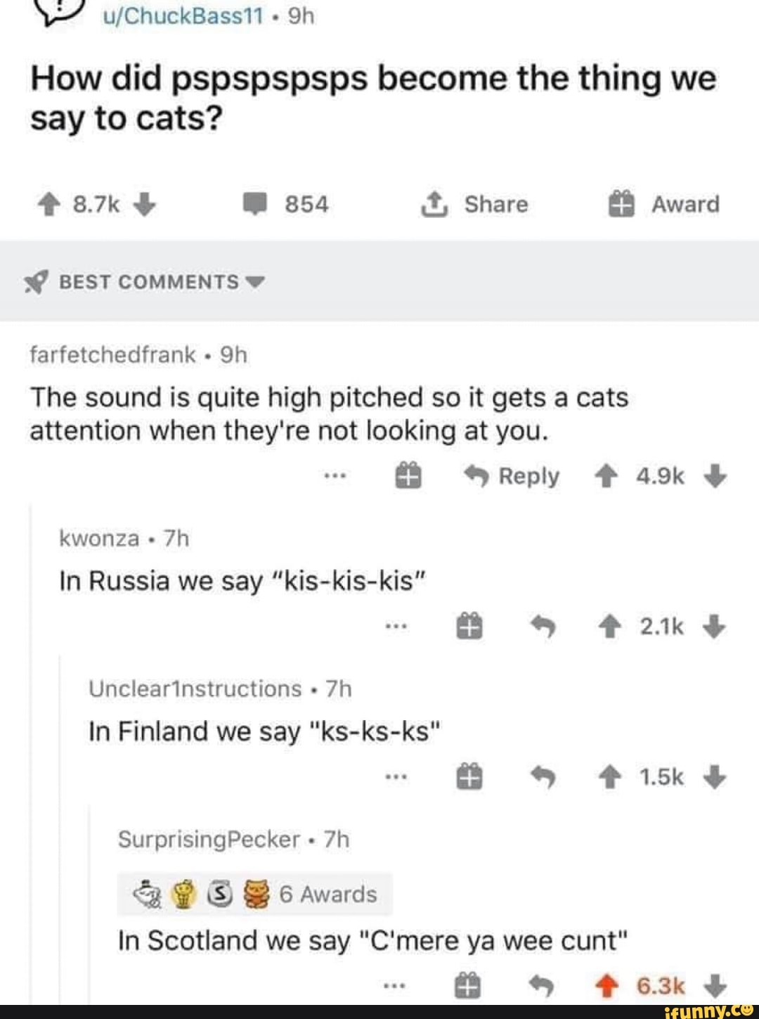 How did pspspspsps become the thing we
say to cats?
Y BEST COMMENTS vw
farfetchedfrank The sound is quite high pitched so it gets a cats
attention when they're not looking at you.
kwonza In Russia we say "kis-kis-kis"
In Finland we say "ks-ks-ks"
SENOR NEO