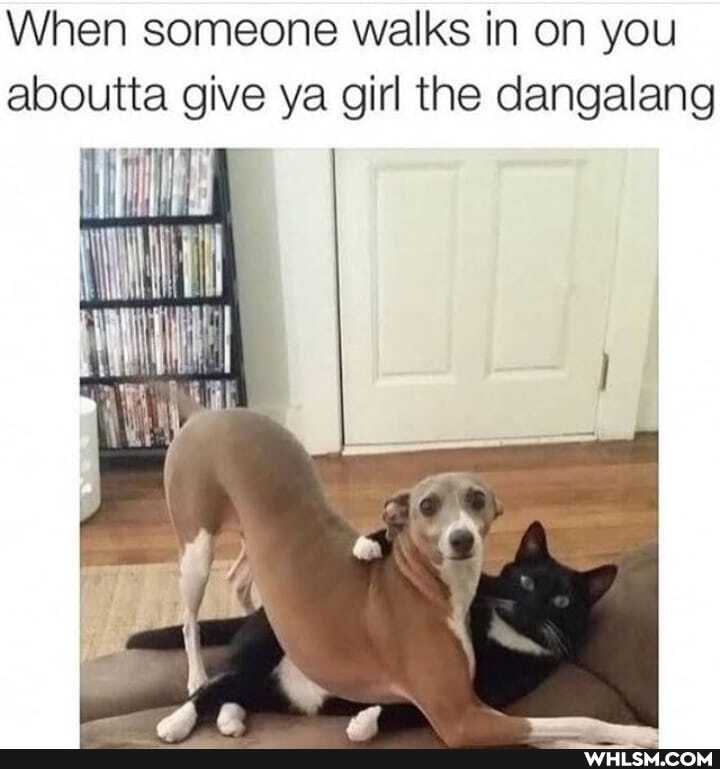 When someone walks in on you aboutta give ya girl the dangalang