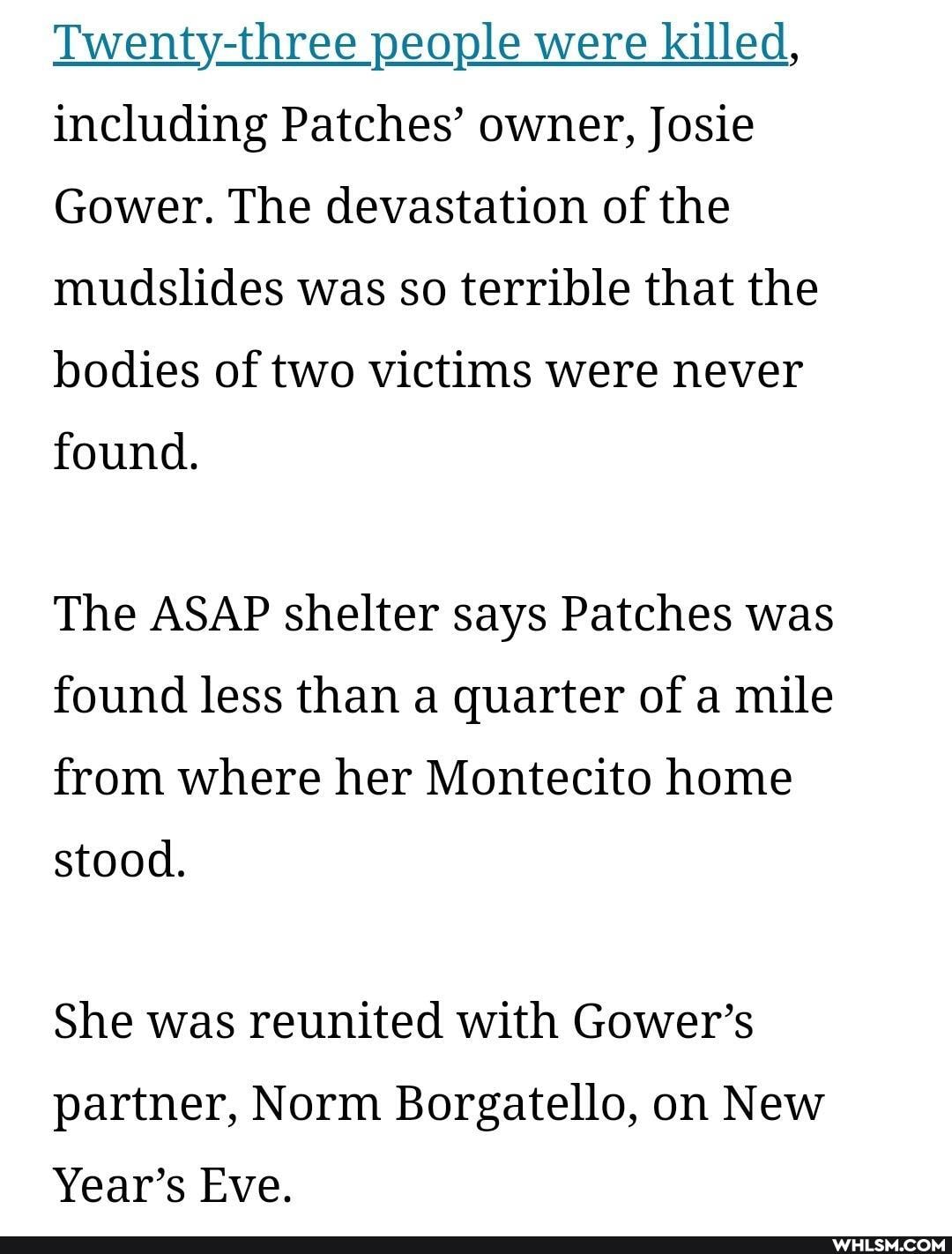 Twenty-three people were killed, including Patches' owner, Josie
Gower. The devastation of the mudslides was so terrible that the bodies of two victims were never
found.
The ASAP shelter says Patches was found less than a quarter of a mile from where her Montecito home
stood.
She was reunited with Gower's partner, Norm Borgatello, on New
Year's Eve.