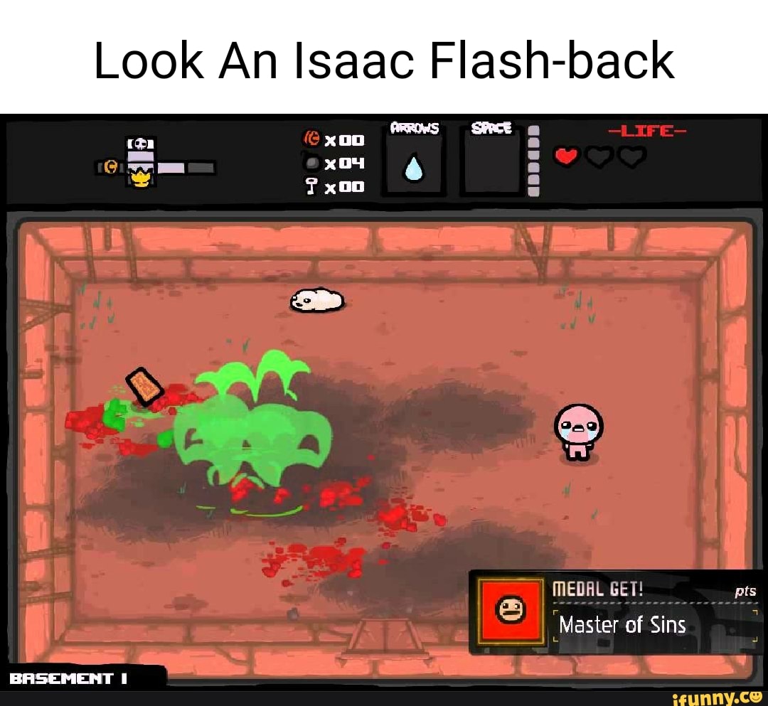 Flash the binding. The Binding of Isaac Flash. TBOI флеш. Флеш Айзек. Айзек демо.