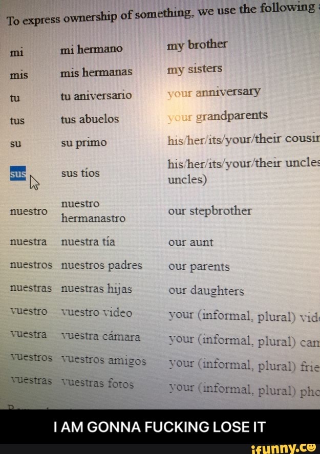Vuestros memes. Best Collection of funny Vuestros pictures on iFunny