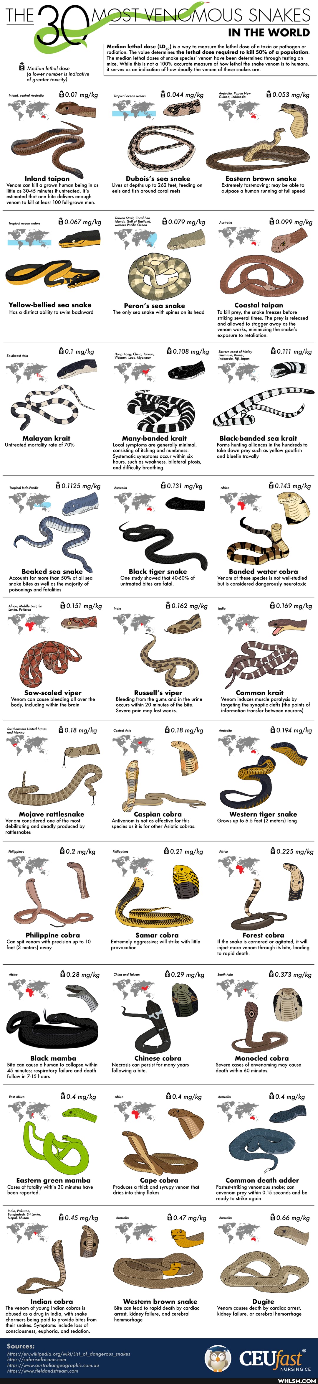 OUS SNAKES
IN THE WORLD
Median lethal dose (LD,,) is a way to measure the lethal dose of a toxin or pathogen or radiation. The value determines the lethal dose required to kill 50% of a population.
The median lethal doses of snake species' venom have been determined through testing on mice. While this is not 100% accurate measure of how lethal the snake venom is to humans,
THE
Median lethal dose
(a lower number is indicative
it serves as an indication of how deadly the venom of these snakes are.
of greater toxicity)
Inlond, contral Avstralio 60.01 Tropical ocean waters 60.044
Tropical ocean waters
Dubois's sea snake
Lives at depths up to 262 feet, feeding on eels and fish around coral reefs
Inland taipan
Venom can kill a grown human being in as little as 30-45 minutes if untreated. It's estimated that one bite delivers enough venom to kill at least 100 full-grown men.
Austra, Popve New
60.053
Eastern brown snake
Extremely fast-moving; may be able to outpace a human running at full speed
Teiwon islands, Strait, Gulf Coral Seo islands, Gulf of Thailand,
'western Pacifie Ocean
60.067 60.079
Tropical ocean waters
Yellow-bellied sea snake
Has a distinct ability to swim backward
Peron's sea snake
The only sea snake with spines on its head
60.099
Coastal taipan
To kill prey, the snake freezes before striking several times. The prey is released and allowed to stagger away as the venom works, minimizing the snake's exposure to retaliation.
Hong Kong, China, Taiwan,
60.108
Many-banded krait
Local symptoms are generally minimal, consisting of itching and numbness.
Systematic symptoms occur within six hours, such as weakness, bilateral ptosis, and difficulty breathing.
Malayan krait
Untreated mortality rate of 70%
60.111
Eastern coast Peninsula, of M Peninsula, Brunei, ley
Indones,Fi Jopon
Black-banded sea krait
Forms hunting alliances in the hundreds to take down prey such as yellow goatfish and bluefin travally
60.1125
60.131 ge >
Tropicol Indo-Pacitic
mm
Black tiger snake
One study showed that 40-60% of untreated bites are fatal.
Beaked sea snake
Accounts for more than 50% of all sea snake bites as well as the majority of poisonings and fatalities
Middle East,
Fokiston
Banded water cobra
Venom of these species is not well-studied but is considered dangerously neurotoxic
60.162
India
60.151
Russell's viper
Bleeding from the gums and in the urine occurs within 20 minutes of the bite.
Severe pain may last weeks.
Saw-scaled viper
Venom can cause bleeding all over the body, including within the brain
60.169
Common krait
Venom induces muscle paralysis by targeting the synaptic clefts (the points of information transfer between neurons)
Southeastern United Stotes
'and Mexico
60.18 Central Asia 60.18
Central Asia
Caspian cobra
Antivenom is not as effective for this species as it is for other Asiatic cobras.
Mojave rattlesnake
Venom considered one of the most debilitating and deadly produced by rattlesnakes
60.194
Western tiger snake
Grows up to 6.5 feet (2 meters) long
60.21
Philippines
Samar cobra
Extremely aggressive; will strike with little provocation
Philippine cobra
Can spit venom with precision up to 10 feet (3 meters) away
60.225
Forest cobra
If the snake is cornered or agitated, it will inject more venom through its bite, leading to rapid death.
South
60.28 60.29
Chinese cobra
Necrosis can persist for many years following a bite.
Black mamba
Bite can cause a human to collapse within
45 minutes; respiratory failure and death follow in 7-15 hours
60.373
Monocled cobra
Severe cases of envenoming may cause death within 60 minutes.
60.4
60.4
60.4
Eost Africa
Cape cobra
Produces a thick and syrupy venom that dries into shiny flakes
Eastern green mamba
Cases of fatality within 30 minutes have been reported.
Common death adder
Fastest-striking venomous snake; can
'envenom prey within 0.15 seconds and be ready to strike again
Lanka
60.45 Australia 60.47
Western brown snake
Bite can lead to rapid death by cardiac arrest, kidney failure, and cerebral hemmorhage
Australia
Indian cobra
The venom of young Indian cobros is abused a drug in India, with snoke charmers being paid to provide bites from their snakes. Symptoms include loss of consciousness, euphoria, and sedation.
en org
wow
Sources:
60.66
Dugite
Venom causes death by cardiac arrest, kidney failure, or cerebral hemorrhage
NURSING CE