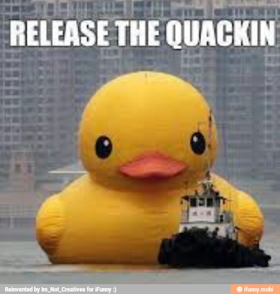 See bt eb ot RELEASE! THE QUACKIN - )