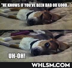 "HE KHOWS FE YOU'VE BEEN RAR