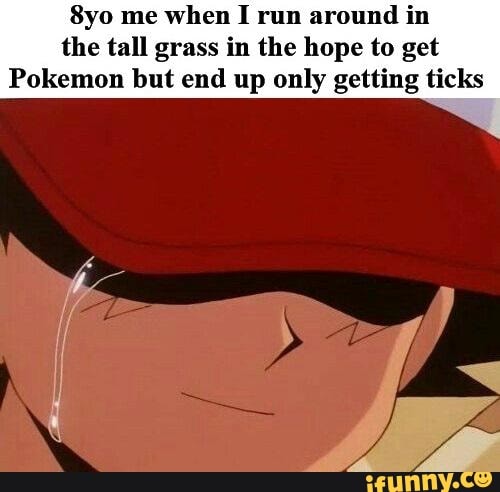 me when I run around in the tall grass in the hope to get
Pokemon but end up only getting ticks