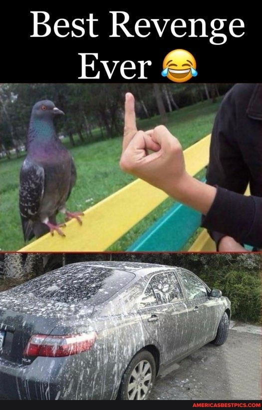 Best Revenge