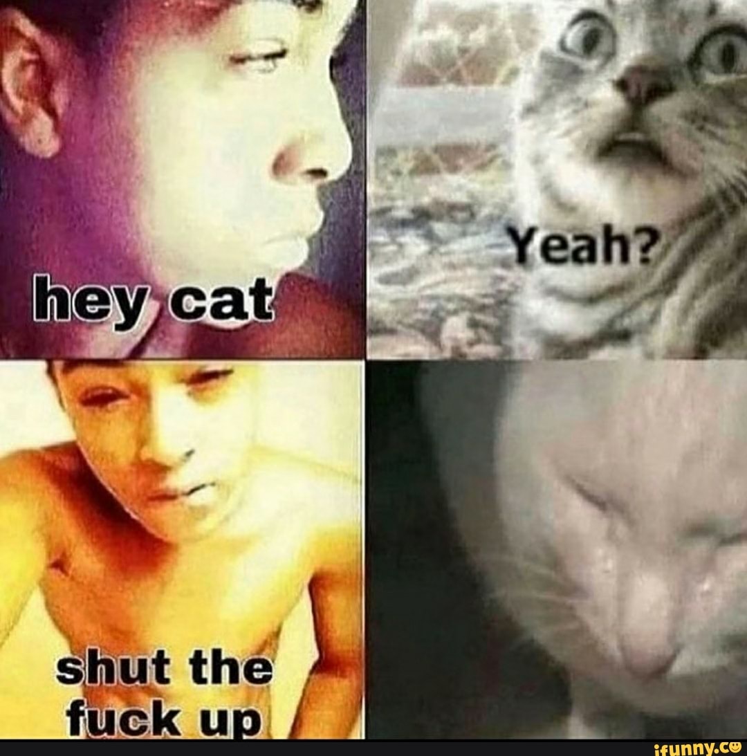 shut the fuck up