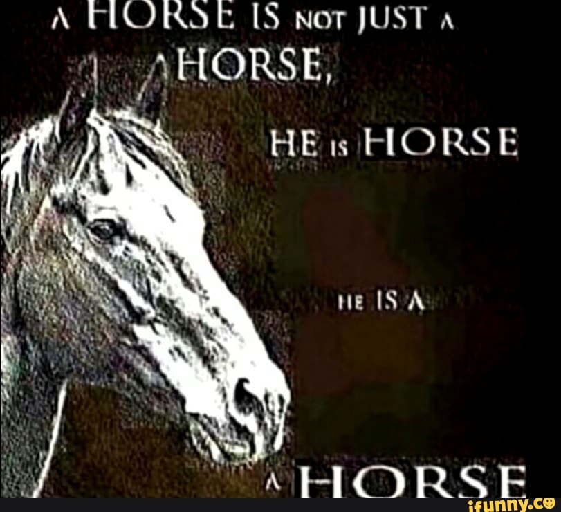 A FLORSE not JUST
AHORSE,
HE is HORSE
ne lS