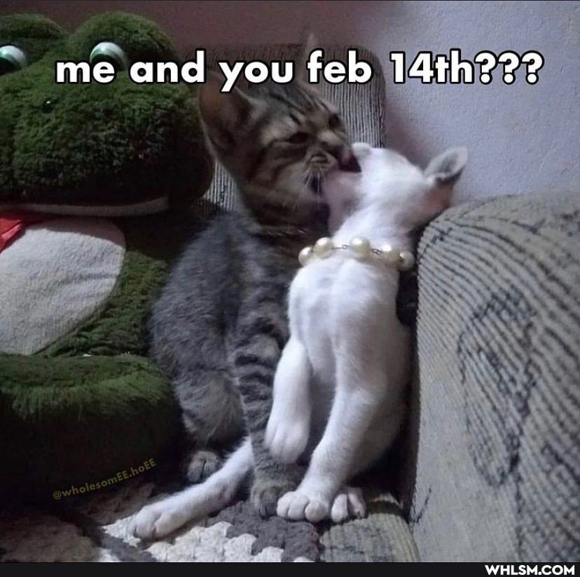 me and you feb 14th???