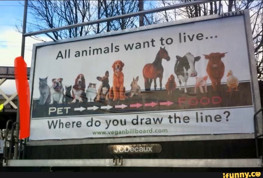 PET Where Do You Draw The Line Line IFunny pet-where-do-you-draw-the-line-line-ifunny