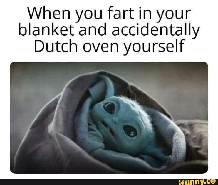 When you fart in your blanket and accidentally Dutch oven yourself iFunny