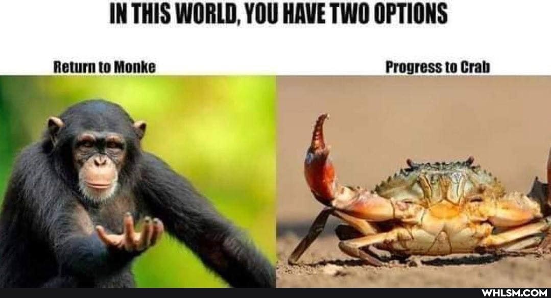 IN THIS WORLD, YOU HAVE TWO OPTIONS
Return to Monke Progress te Crab