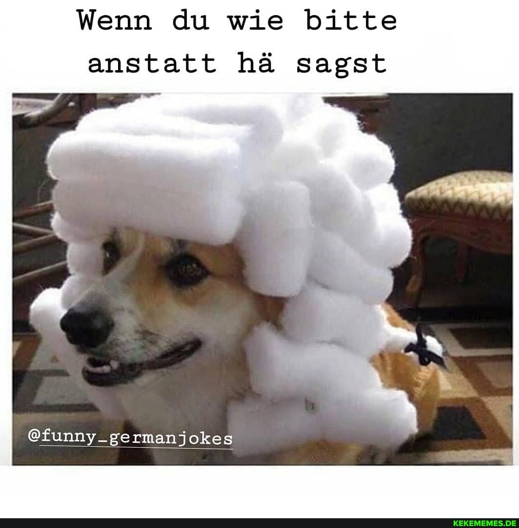 Wenn du wie bitte anstatt hä sagst
@funny_germanjokes