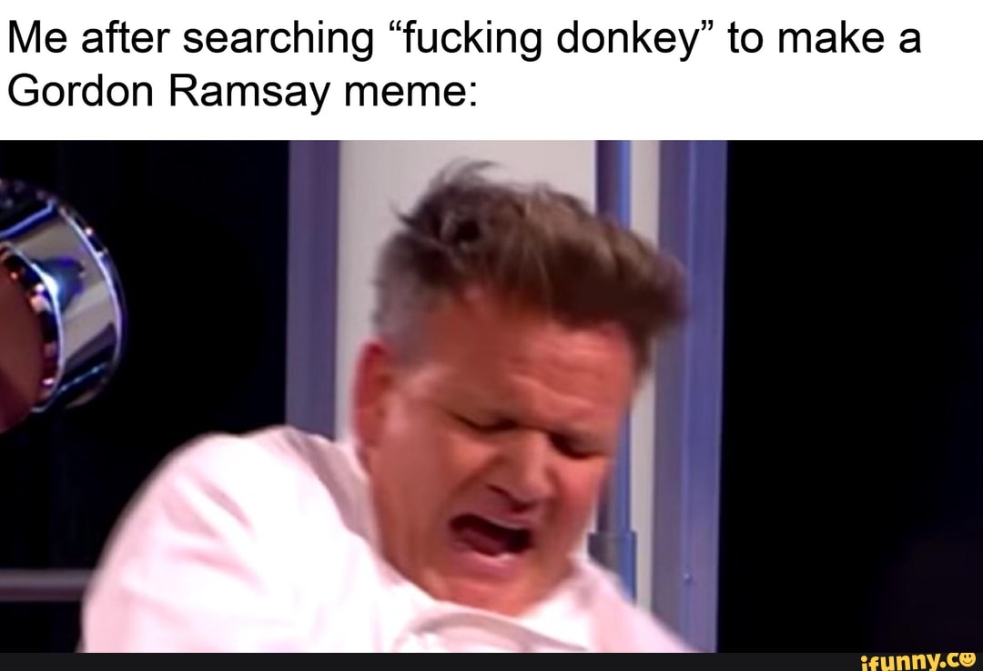 me-after-searching-fucking-donkey-to-make-a-gordon-ramsay-meme-ifunny