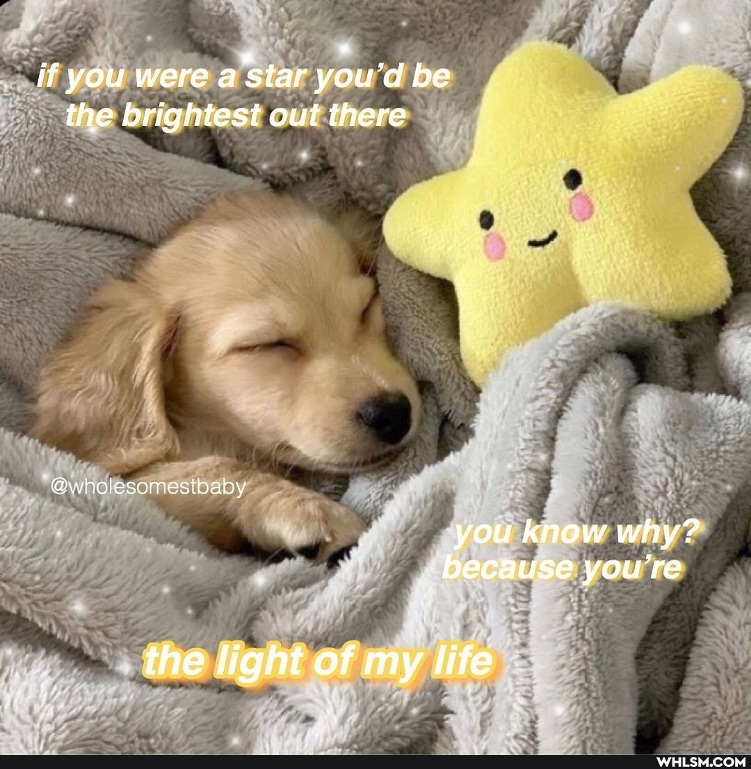 if you were 'star you'd be the brightest out there
@wholesorresthaby
you know why? because you're
the light of my life